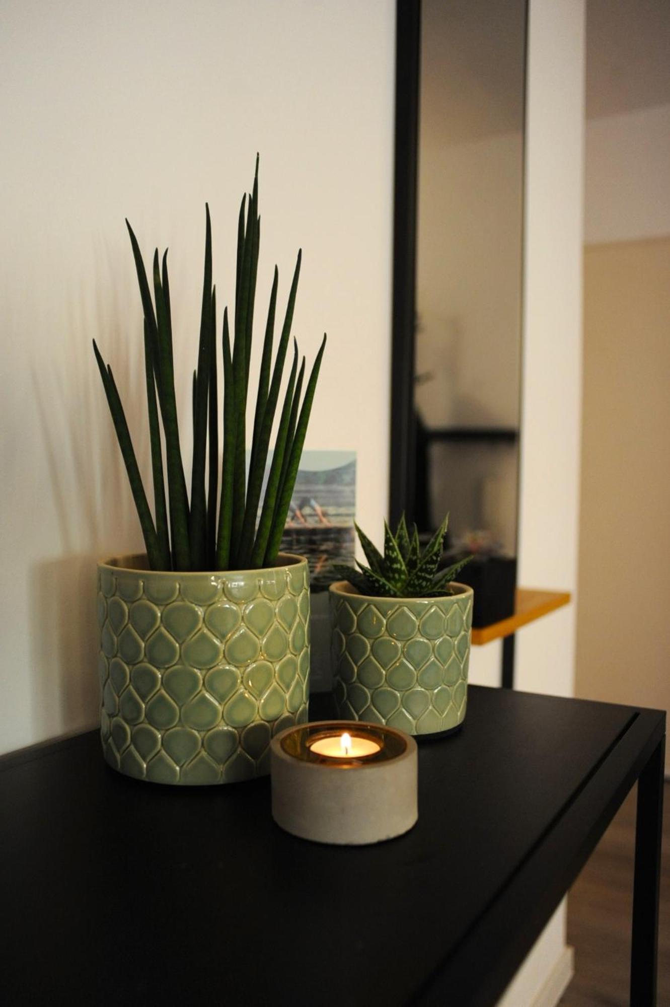 Deluxe-Apartment Altstadt Ettlingen Ngoại thất bức ảnh
