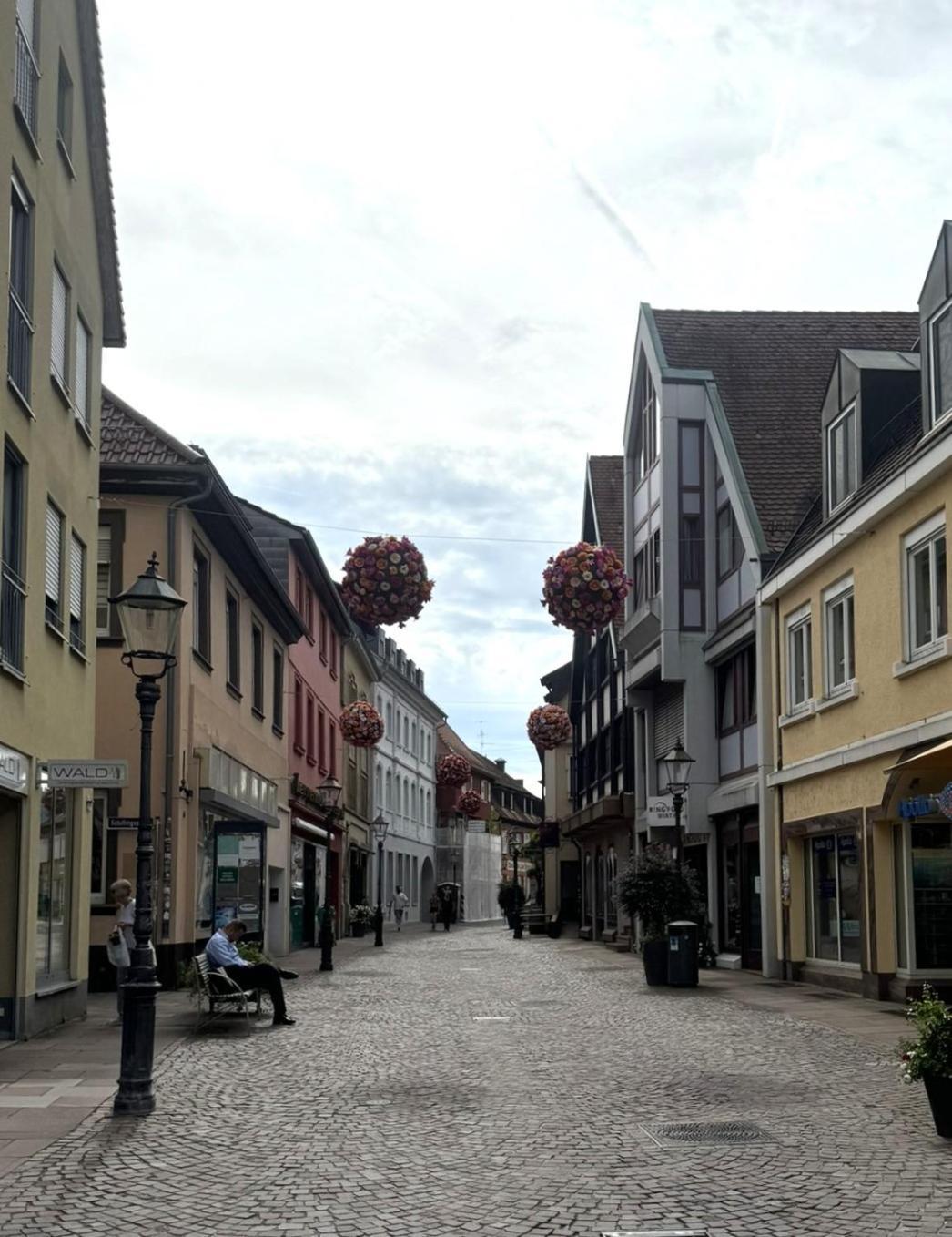 Deluxe-Apartment Altstadt Ettlingen Ngoại thất bức ảnh